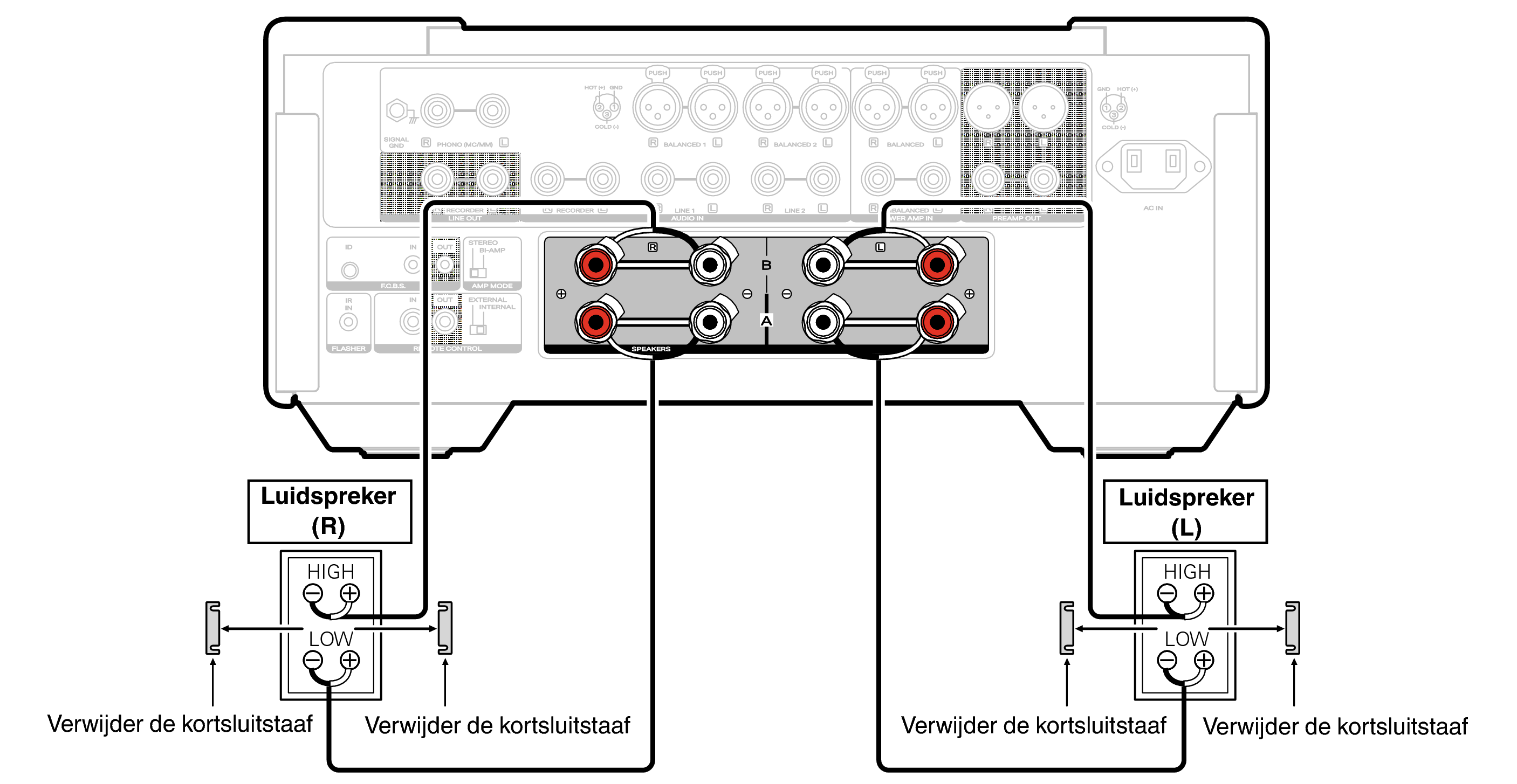 Conne biWiring MODEL10